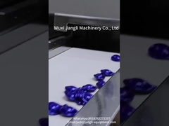 सॉफ्टजेल कैप्सुलेशन मशीन